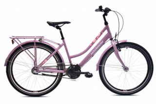 600x600_5579912_MADI260010011156_